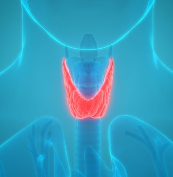A szelén hatása a hormonokra és a pajzsmirigy egészségére